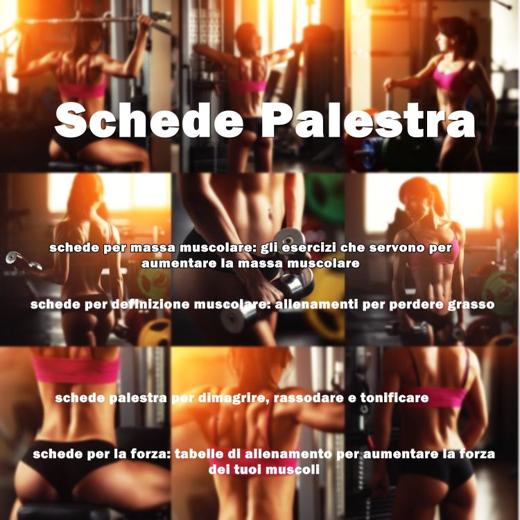 Schede allenamento palestra uomo e donna. Pianificare il programma di fitness training e accedere agli allenamenti con questo modello accessibile.